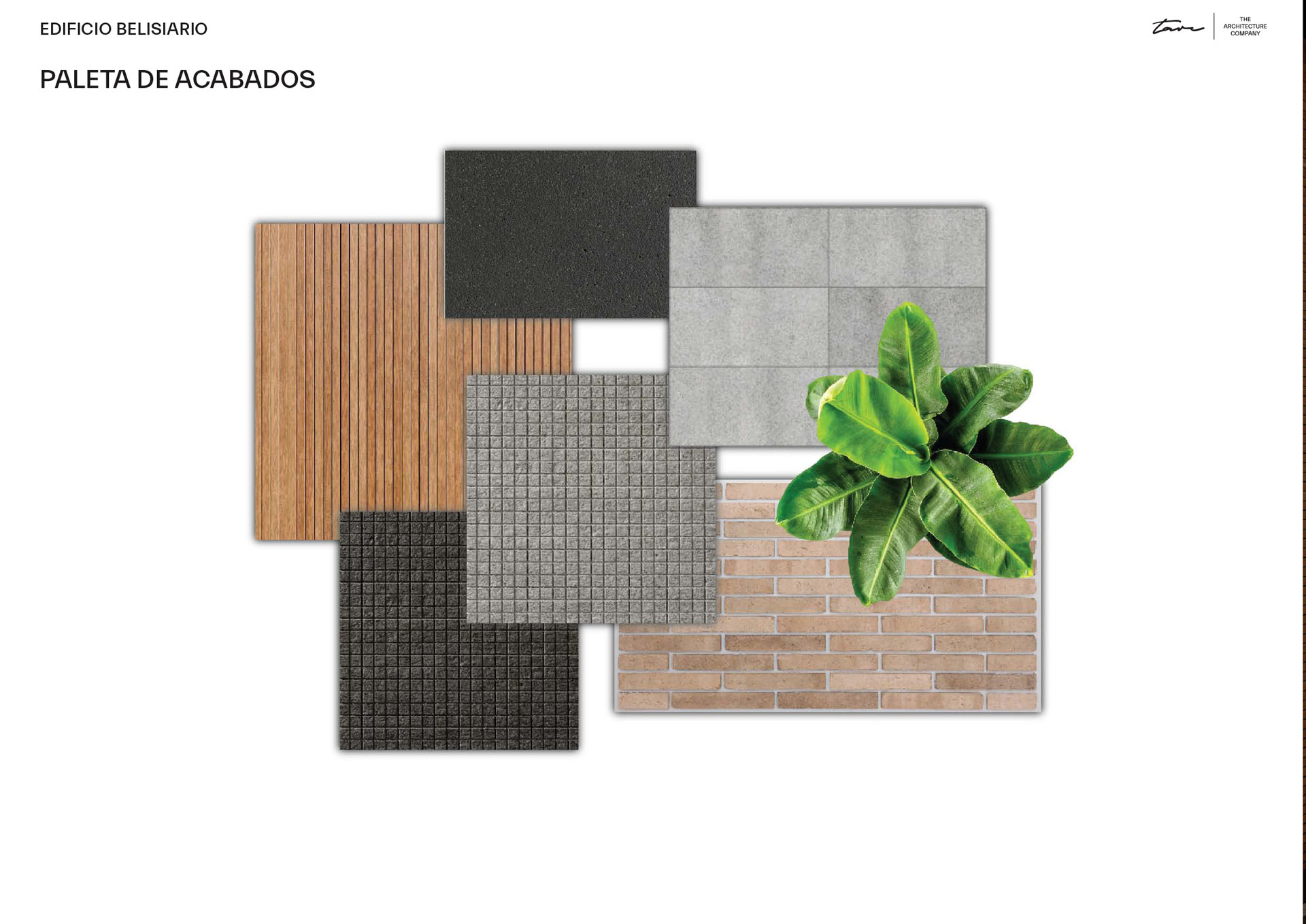 edificio-belisario-08