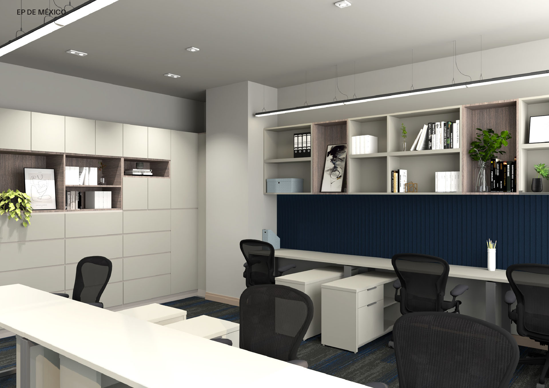 ep-de-mexico-c-mty-10